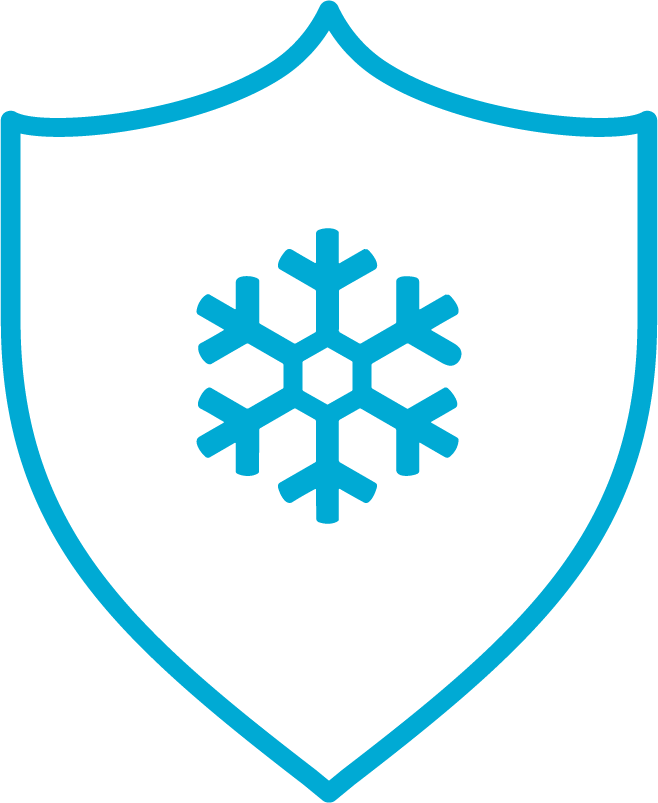 Pictogram van een sneeuwvlok in een schild